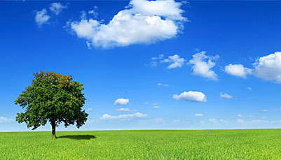 やぶさき泌尿器クリニック 自費診療　ED診察　男性ホルモン療法　ブライダルチェック